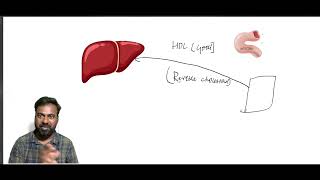 HDL amp LDL Metabolism what is good cholesterolநல்ல மற்றும் கெட்ட கொழுப்பு HDL LDL வளர்சிதை மாற்றம் [upl. by Ellah]