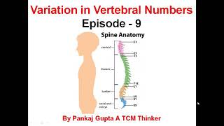 Sacralization and Lumbarization of the Spine Know Your Spine Episode  9 [upl. by Karin656]