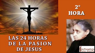 SEGUNDA 2 HORA DE LAS 24 HORAS DE LA PASION DE JESUS AYUDA ALMAS DEL PURGATORIO SANA TU VIDA [upl. by Odnomra455]