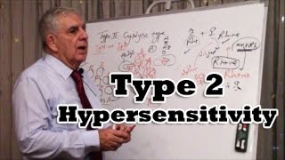 Type 2 Hypersensitivity [upl. by Smalley]