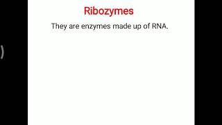 Ribozymes [upl. by Kinna524]