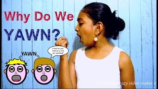 Why Do We Yawn  Yawn Meaning  Secrets Behind Yawning  English  Sashas Vlog [upl. by Ydor]