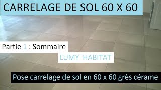 Poser du carrelage de sol 60 x 60  présentation du chantier étape par étape 1 LUMY 40 [upl. by Cash]