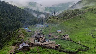 Rural Village Life in Heavy Rain  Walk in Rainy Day  Mountain Village Life with Natural Beauty [upl. by Ibbison]