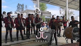 EL RITMAZO  Banda Reyna de Oaxaca EN VIVO [upl. by Sinegold]