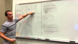 Different Kinds of Fatty Acids Saturated vs Unsaturated Trans  Cis [upl. by Edyaj6]