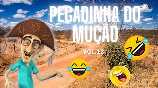 Pegadinhas do Mução  As Mais Antigas I Vol13 [upl. by Engleman]