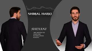 Shimal harki new track shexani 2024 بەرهەمێ شێخانی ٢٠٢٤ دیاری بو وە [upl. by Kirtap682]