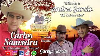 Carlos Saavedra  Tributo a Andres Garcia [upl. by Aistek]