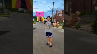 Raia coreana pipas shortsvideo pipasbrasil shorts [upl. by Aicats403]