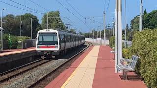 Transperth Trains at Mosman Park Station [upl. by Lody]