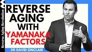 REVERSE AGING With Yamanaka Factors  Dr David Sinclair Interview Clips [upl. by Einrae]