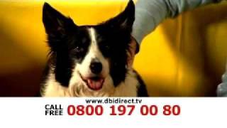 DBI DIRECT  Pet Insurance DRTV Ad [upl. by Anirbus]