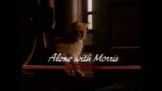 1985 9Lives Cat Food quotAlone with Morrisquot TV Commercial [upl. by Ilocin]