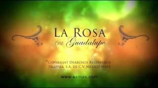 La Ros De Guadalupe Recobrar La Confianza [upl. by Ardnusal]