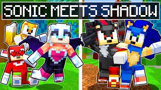 We Met SHADOW THE HEDGEHOG In Minecraft  Minecraft Sonic The Hedgehog 3  36 [upl. by Ellenehs]