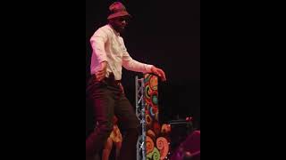 DANCE ELOKO OYO DE FALLY IPUPA dance fallypupa fallyipupatypebeat afrobeats fallyipupa dancer [upl. by Oriaj]