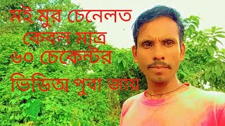 কামলা খাটা [upl. by Andra]