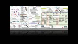 Asthma Concept Map [upl. by Milone]