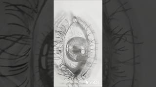 Realistic Eye Drawingartshadingpaintingsketchyoutubeshortsviral [upl. by Nareik]