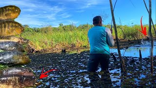 LUGAR TEMIDO PELOS PESCADORES MESMO ASSIM ME ARRISQUEI IR LÁ Por isso só tem peixes pré histórico [upl. by Lebbie]