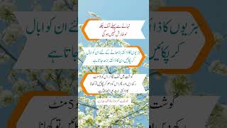 Part 21 dawakhana urdu hakeemameradnan quotes hakeeminuskhe fbreelsvideo [upl. by Lohner611]