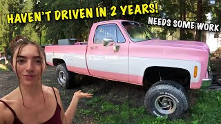 What Happened to My Pink Chevy What is My Next Build Car Updates [upl. by Taddeo909]