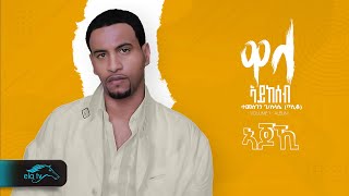 Temesgen Gebreselassie  Taniqo  Ajoki  ኣጆኺ Eritrean Music   Official Audio   Men eki men [upl. by Adara461]