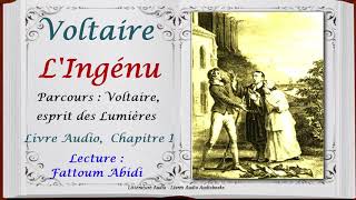 Voltaire LIngénu Résumé et Livre Audio Chapitre I Voltaire esprit des Lumières [upl. by Meehan]