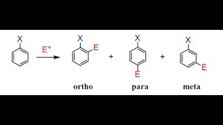 Para Ortho Meta directing groups Video 1 [upl. by Krakow]