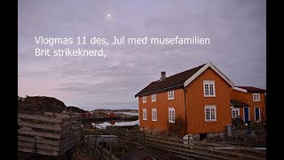 vlogmas11des Jul med musefamilien Brit Strikkenerd [upl. by Durrett]