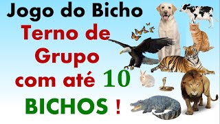 Jogo Do Bicho  Jogue com até 10 Bichos no Terno de Grupo [upl. by Alisha]