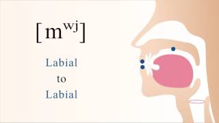 mʷʲ  voiced unaspirated labialized palatalized bilabial nasal stop [upl. by Adnalram]