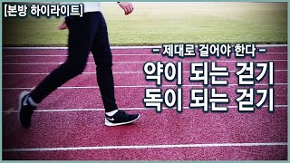 내 몸에 약이 되는 걷기 대체 어떻게 걸어야 할까 KBS20191106 방송 [upl. by Garik]