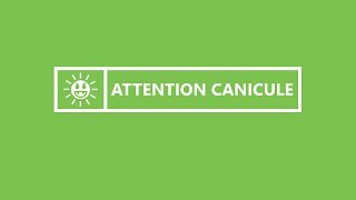 Attention canicule  Pour protéger votre PC adoptez les bons réflexes [upl. by Bebe147]