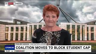 Pauline Hanson Fights for Free Speech and Takes a Stand on Australia’s Immigration Crisis [upl. by Espy]