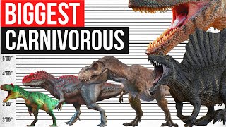 Largest land Carnivorous Dinosaurs That Ever Lived  Size Comparison [upl. by Valer]