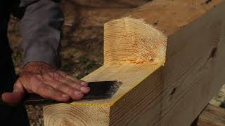 Complete Log Layout Pt 2 Cleaning the Notches  Dovetail Log Cabin Build Ep 26 [upl. by Jillane]