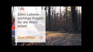 Zehn lebenswichtige Regeln für die Waldarbeit [upl. by Nave358]