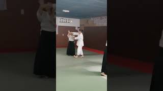 Cerdanya aïkido Dojo DEstavar ballaretbougerradiowebco aikido66com [upl. by Niuq718]