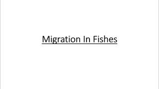 Migration in Fishes  Types of Migration  Significance of Migration  Bachelor degree zoology [upl. by Navets234]