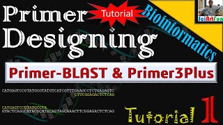 Primer Designing  Using PrimerBlast or Primer3Plus  Tutorial 1 [upl. by Kenwood]