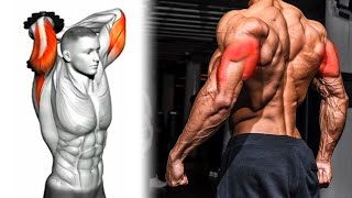 Triceps workout  Triceps Exercises With Dumbbell and Barbell Only [upl. by Etnecniv274]