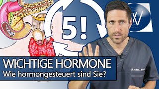 Diese 5 Hormone beeinflussen Ihren Alltag Stimmung Libido Gewicht amp Stoffwechsel  Darauf achten [upl. by Innis]