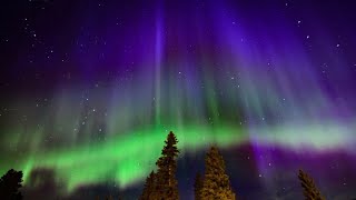 The sky is alive shorts aurora canada northernlights [upl. by Alludba]