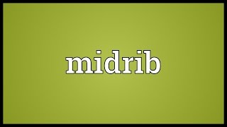 Midrib Meaning [upl. by Goodson69]