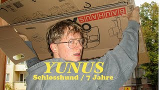 Yunus  Schlosshund  7 Jahre [upl. by Isabea]