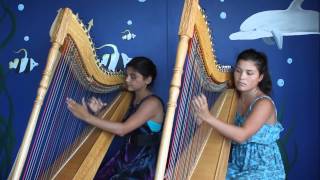 Luz Marina Harp Duo  Pájaro Campana [upl. by Autry822]