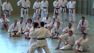 Schahrzad Mansouri  Shotokan Karate [upl. by Feilak]