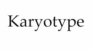 How to Pronounce Karyotype [upl. by Akelam931]